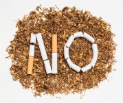Tobacco Smoking Photos - Download Free High-Quality Pictures | Freepik