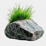 7 페이지 | 해암 PSD, 개 이상의 고품질 무료 PSD 템플릿 다운로드 가능 | Freepik