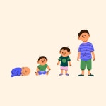 Child growth Vectors - Download Free High-Quality Vectors from Freepik | Freepik