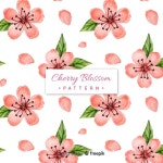 19 페이지 | 동양화 벚꽃 벡터 - Freepik에서 무료 고품질 벡터를 다운로드하세요 | Freepik