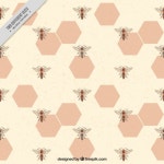 우아한 꿀 배경 | 무료 벡터