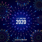 불꽃 놀이 새해 2020 | 무료 벡터