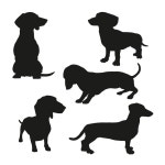 3 페이지 | 닥스 훈트 벡터 - Freepik에서 무료 고품질 벡터를 다운로드하세요 | Freepik