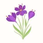 Free Vector | Hand drawn flat design saffron