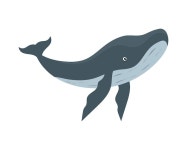 17 페이지 | 바다 고래 벡터 - Freepik에서 무료 고품질 벡터를 다운로드하세요 | Freepik