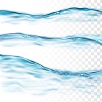 Watery Vectors - Download Free High-Quality Vectors from Freepik | Freepik