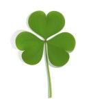 Free Vector | Realistic green leaf clover on white