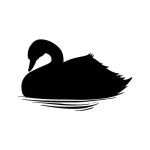 28 페이지 | 오리 벡터 - Freepik에서 무료 고품질 벡터를 다운로드하세요 | Freepik