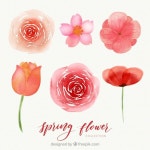 19 페이지 | Watercolor flowers 벡터 - Freepik에서 무료 고품질 벡터를 다운로드하세요 | Freepik