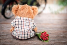 214 발렌타인 데이 선물 | 프리미엄 사진