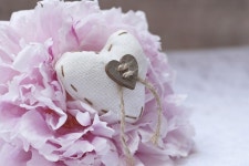 214 발렌타인 데이 선물 | 프리미엄 사진