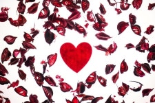 214 발렌타인 데이 선물 | 프리미엄 사진