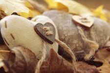 214 발렌타인 데이 선물 | 프리미엄 사진