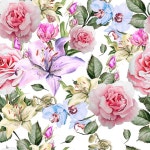 555 | 프리미엄 사진