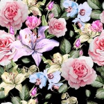 555 | 프리미엄 사진