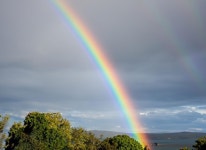 하늘 의 무지개 의 낮은 각도 뷰 | 프리미엄 사진