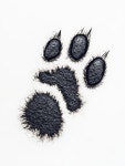 31 페이지 | Bear Paw 사진 - 무료 고품질 사진 다운로드 | Freepik