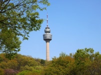 대구의 랜드 마크, 대구 타워 | 프리미엄 사진