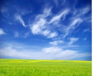 들 | 프리미엄 사진