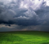 그린 필드 | 프리미엄 사진