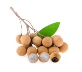 용안을 떠난다. 흰색 배경에 신선한 용안 | 프리미엄 사진