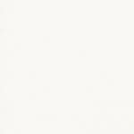 평평 한 색 배경 | 프리미엄 사진