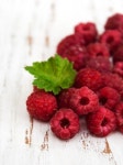 로제베리Roseberry | 라즈베리 | 프리미엄 사진