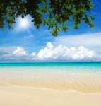 바다 | 프리미엄 사진