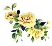 화창한 날의 꽃들 | 프리미엄 사진