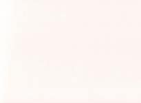 화이트 페이퍼 배경 | 프리미엄 사진