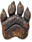 27 페이지 | Bear Paw 사진 - 무료 고품질 사진 다운로드 | Freepik