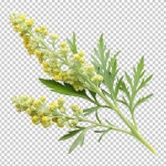 7 페이지 | 마거리트 PSD, 개 이상의 고품질 무료 PSD 템플릿 다운로드 가능 | Freepik