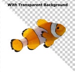 흰동가리 PNG | 프리미엄 PSD 파일