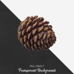 Natural brown pinecone isolated on a clean background featuring intricate scales and texture perfect | 프리미엄 AI 생성 PSD