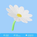 Premium PSD | Daisy floral 3d illustration