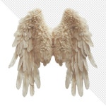털이 있는 천사 날개 | 프리미엄 AI 생성 PSD