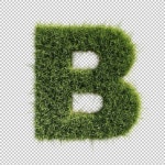 Grass alphabet b on transparent background | Premium PSD