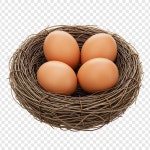 둥지, 상위 뷰에서 유기농 계란. | 무료 사진