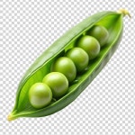21 페이지 | 완두콩 캐릭터 PSD, 개 이상의 고품질 무료 PSD 템플릿 다운로드 가능 | Freepik