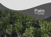 팜 오일 사인 컬렉션 | 무료 벡터