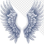 날개 검은 요소. 천사와 새의 날개. 하얀 날개의 그림 | 무료 벡터