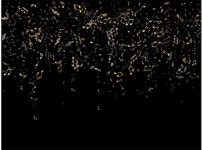 2 | 프리미엄 벡터