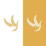 올리브 | 프리미엄 벡터