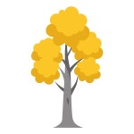 3 페이지 | 은행 나무 벡터 - Freepik에서 무료 고품질 벡터를 다운로드하세요 | Freepik