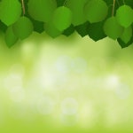 추상 녹색 배경에 나무 잎 | 프리미엄 벡터