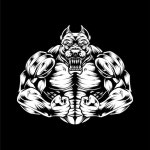 Pitbull work out illustration | Premium Vector