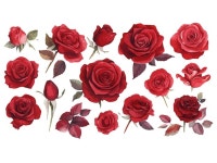 5 페이지 | 빨간 장미 벡터 - Freepik에서 무료 고품질 벡터를 다운로드하세요 | Freepik