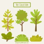 나무와 관목의 수집 | 무료 벡터