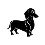 24 페이지 | 닥스 훈트 벡터 - Freepik에서 무료 고품질 벡터를 다운로드하세요 | Freepik