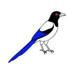 19 페이지 | 까치 벡터 - Freepik에서 무료 고품질 벡터를 다운로드하세요 | Freepik